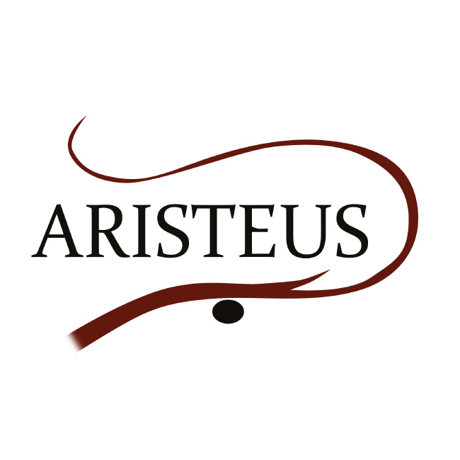 Diseño de logotipos y branding
