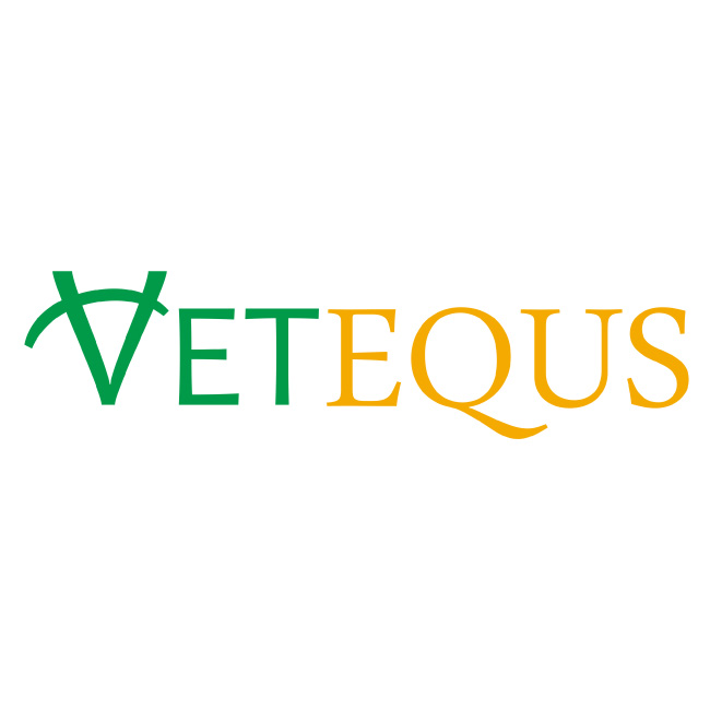 Diseño de logotipos y branding